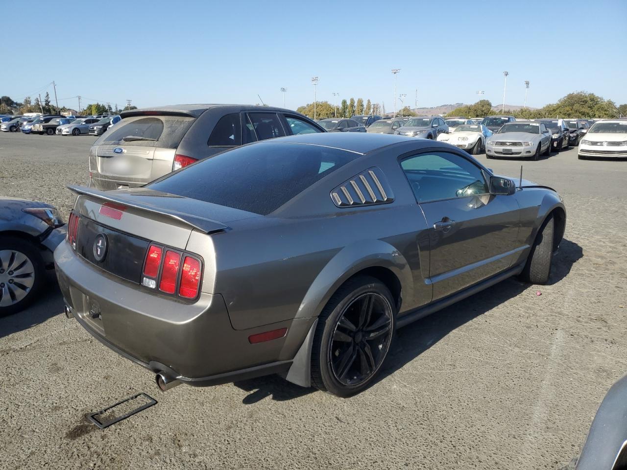 Lot #3028246797 2005 FORD MUSTANG