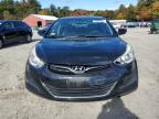 HYUNDAI ELANTRA SE photo