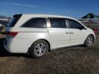 HONDA ODYSSEY EX снимка