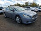 NISSAN MAXIMA S photo