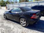 Lot #2938371709 2001 MERCEDES-BENZ SLK 320