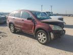 Lot #2991127184 2009 HONDA CR-V EX