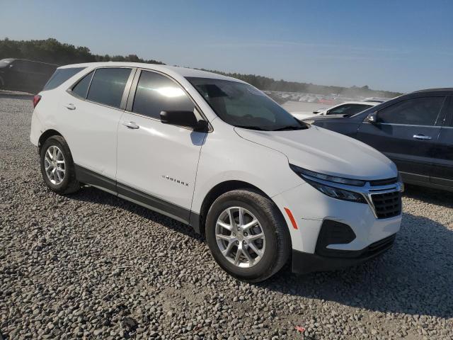 2023 CHEVROLET EQUINOX LS - 3GNAXHEG8PL225579