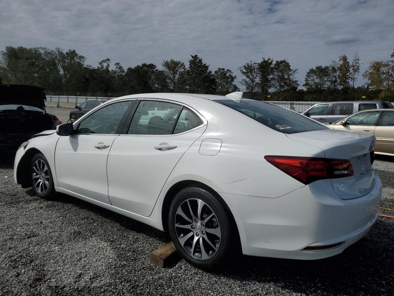 Lot #2960186041 2017 ACURA TLX