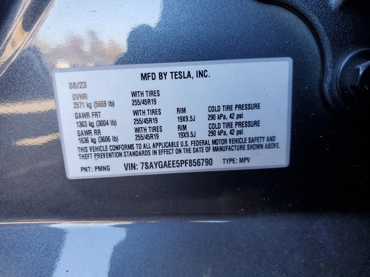 Lot #3036942726 2023 TESLA MODEL Y