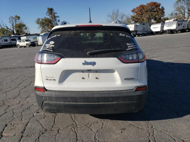2019 JEEP CHEROKEE L - 1C4PJMLB3KD484872