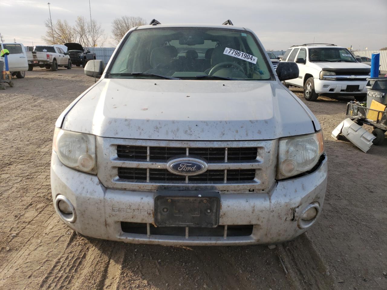 Lot #2976619575 2008 FORD ESCAPE XLT