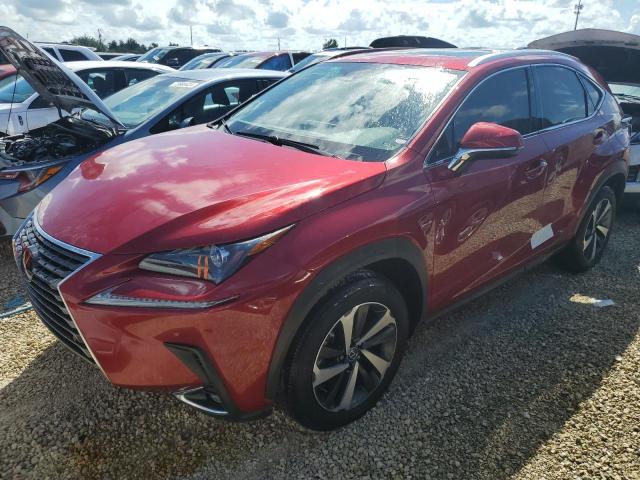 2021 LEXUS NX 300 BAS #2881357523