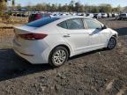 HYUNDAI ELANTRA SE photo