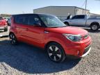 KIA SOUL + photo