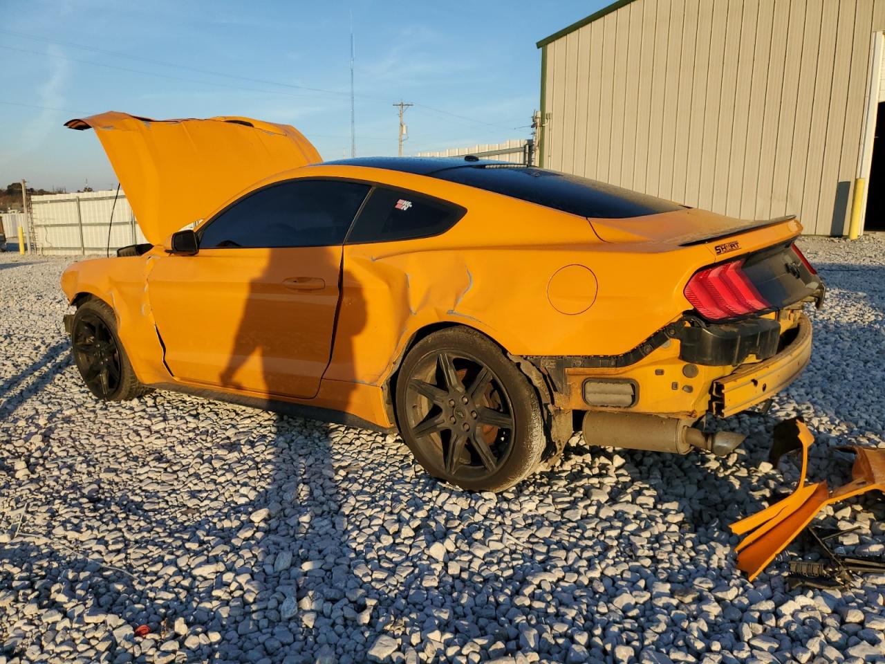 Lot #3020673930 2019 FORD MUSTANG