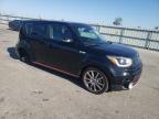 KIA SOUL ! photo