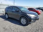 HONDA CR-V EXL photo