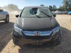 HONDA ODYSSEY EX снимка