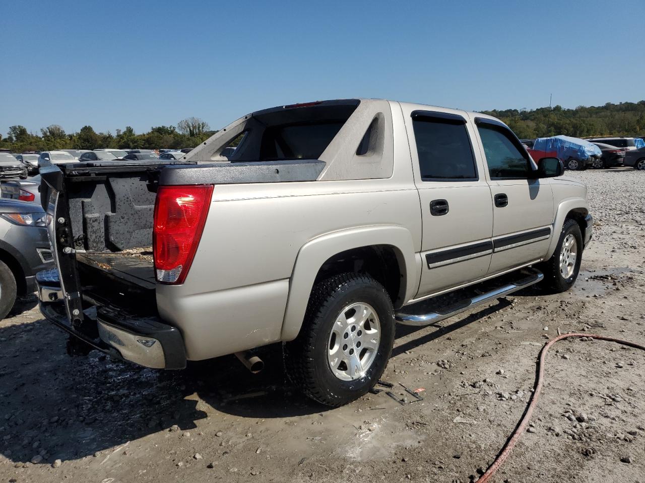 Lot #2974619415 2005 CHEVROLET AVALANCHE