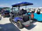 Lot #3025203693 2024 BINT GOLFCART