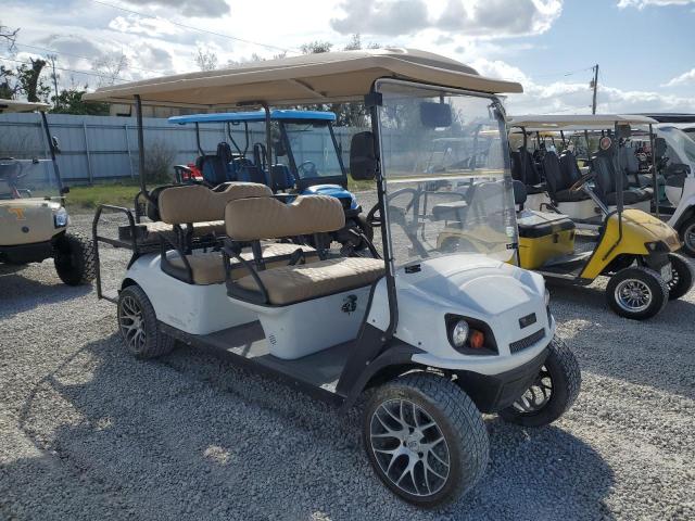 OTHER GOLF CART 2021 white   FLA112525 photo #1