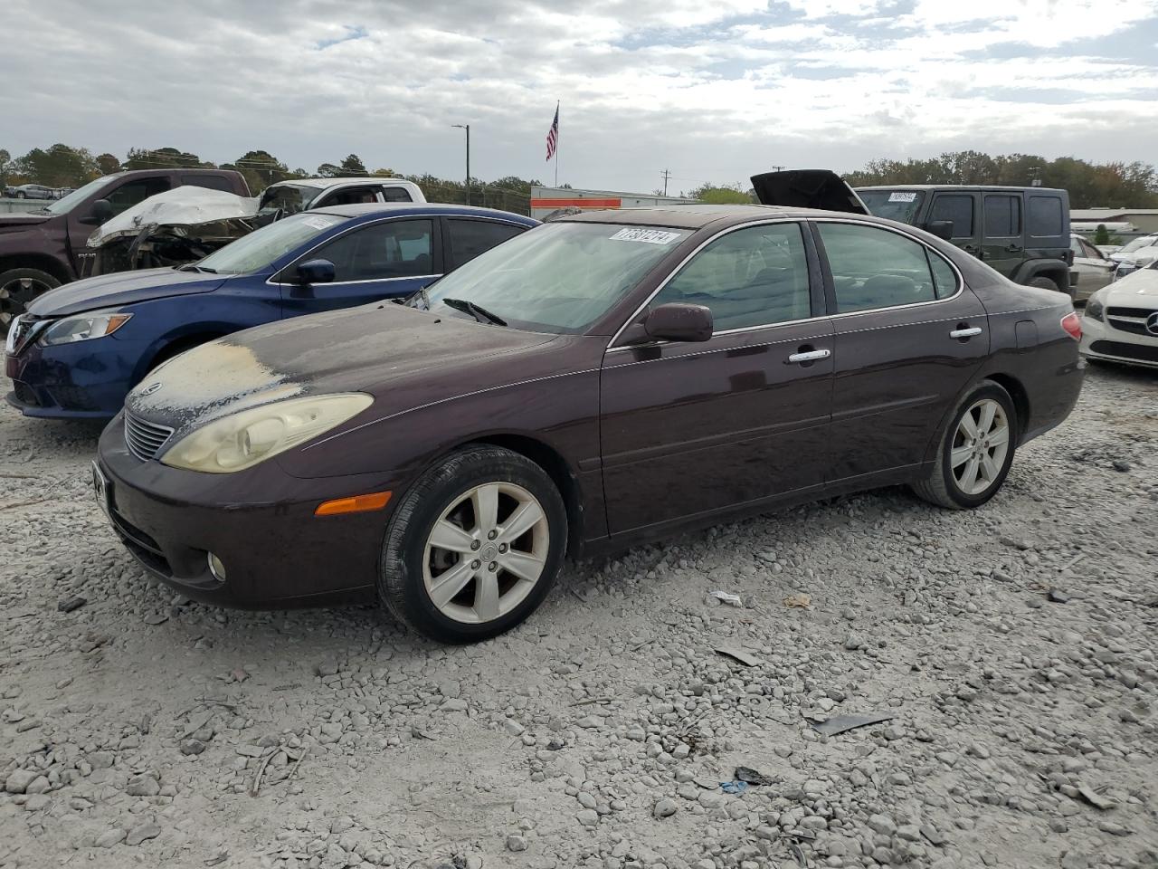 Lot #2972206205 2006 LEXUS ES 330