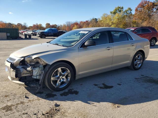 CHEVROLET MALIBU LS