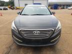 Lot #3024353527 2015 HYUNDAI SONATA SPO