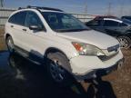 HONDA CR-V EX photo