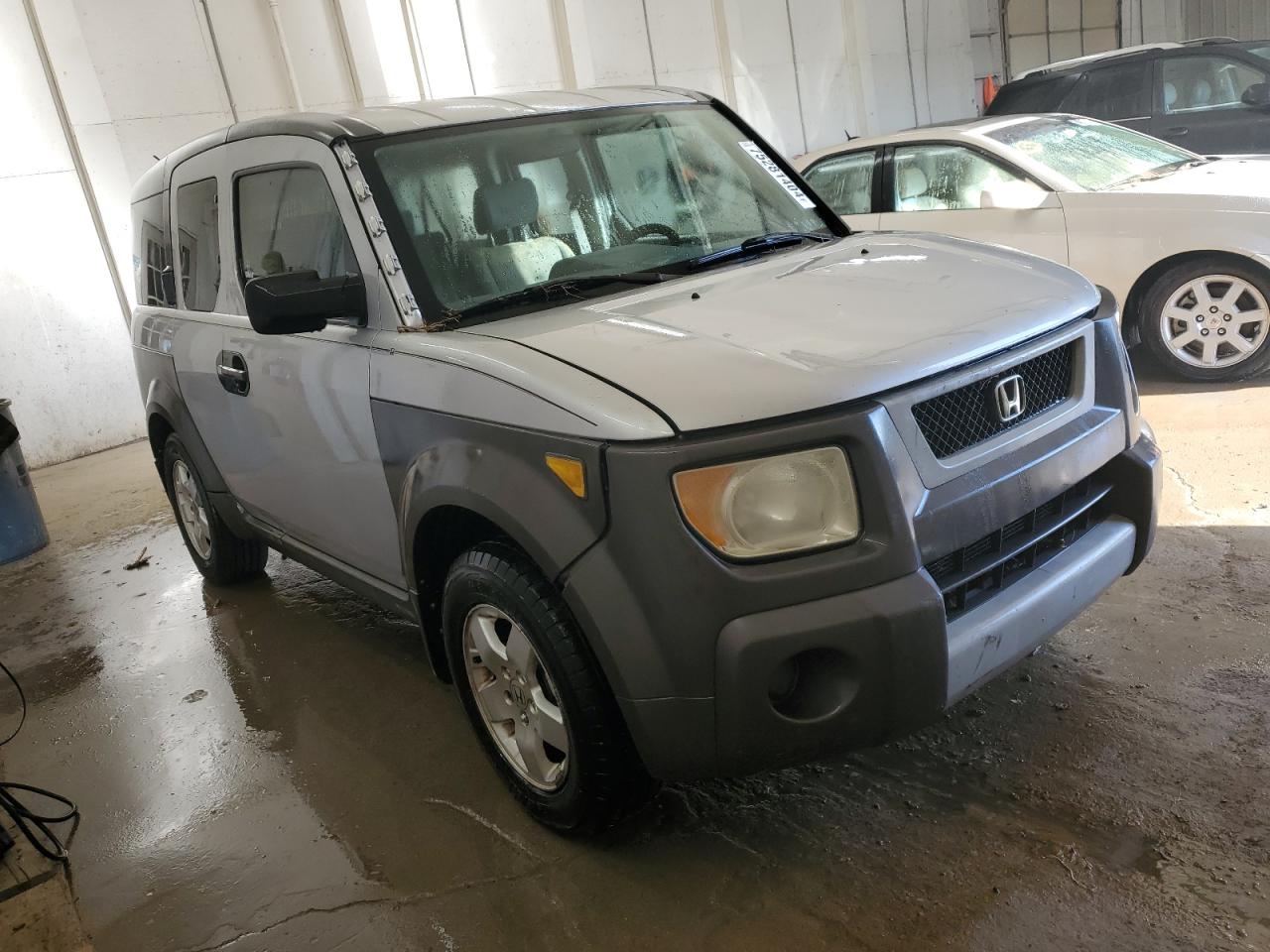 Lot #2919215810 2004 HONDA ELEMENT EX