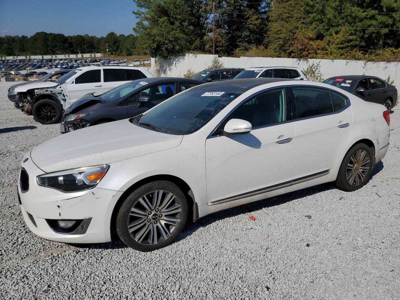 Lot #2937997820 2015 KIA CADENZA PR