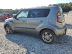 KIA SOUL + photo