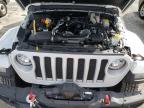 JEEP WRANGLER U photo