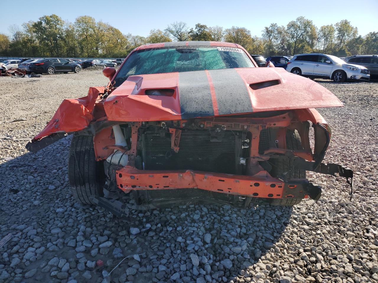 Lot #3029574100 2017 DODGE CHALLENGER