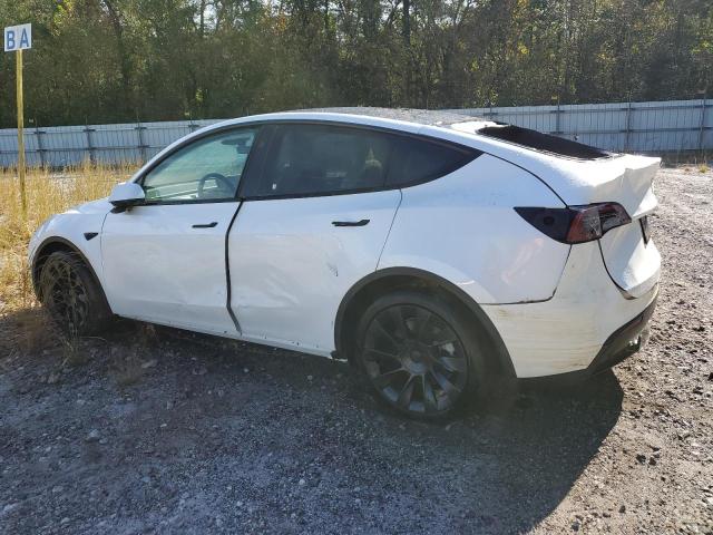 2024 TESLA MODEL Y - 7SAYGDEE7RF993704