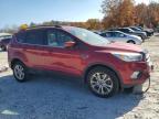 Lot #3024266861 2017 FORD ESCAPE SE