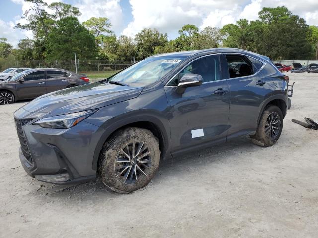 2025 LEXUS NX 250 PRE #2986767214