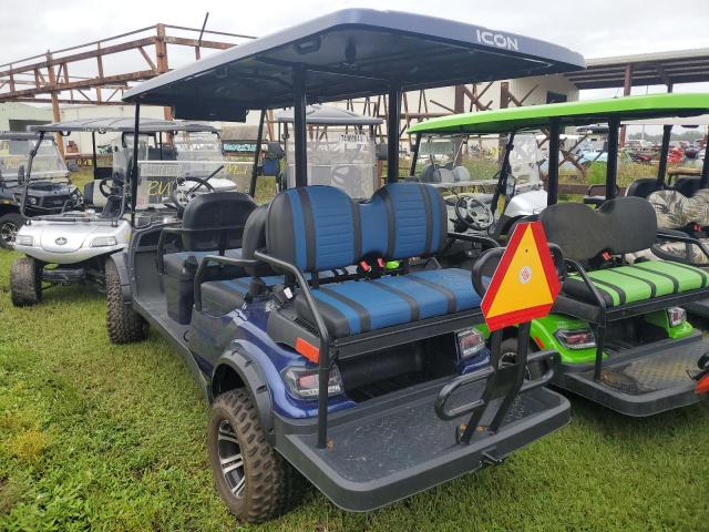 ASPT GOLF CART 2021 blue   FLA116724 photo #4