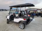 Lot #3027162332 2019 ASPT GOLF CART