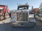 Lot #3025135221 2001 PETERBILT 378