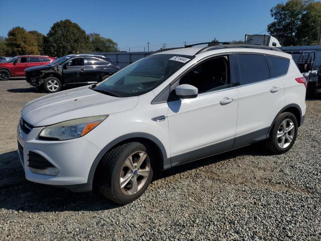 VIN 1FMCU0GX1DUD14299 2013 Ford Escape, SE no.1