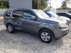 HONDA PILOT EXL photo