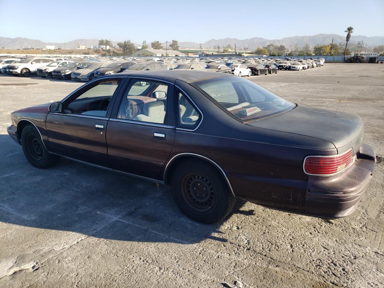 Lot #2923977937 1996 CHEVROLET CAPRICE /