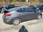 HYUNDAI ELANTRA SE photo