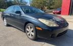 LEXUS ES 330 photo