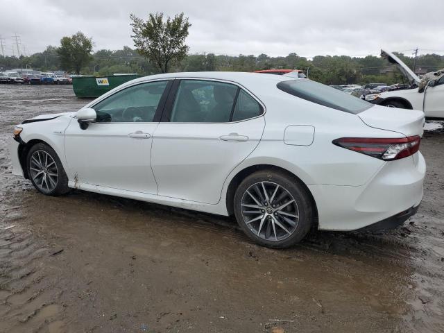 2021 TOYOTA CAMRY XLE - 4T1F31AKXMU547228