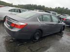 HONDA ACCORD SPO photo