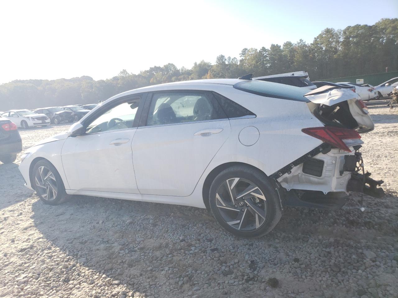 Lot #2928691792 2024 HYUNDAI ELANTRA LI