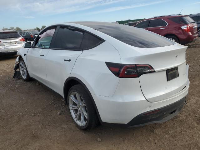 2023 TESLA MODEL Y - 7SAYGDEE5PF623865