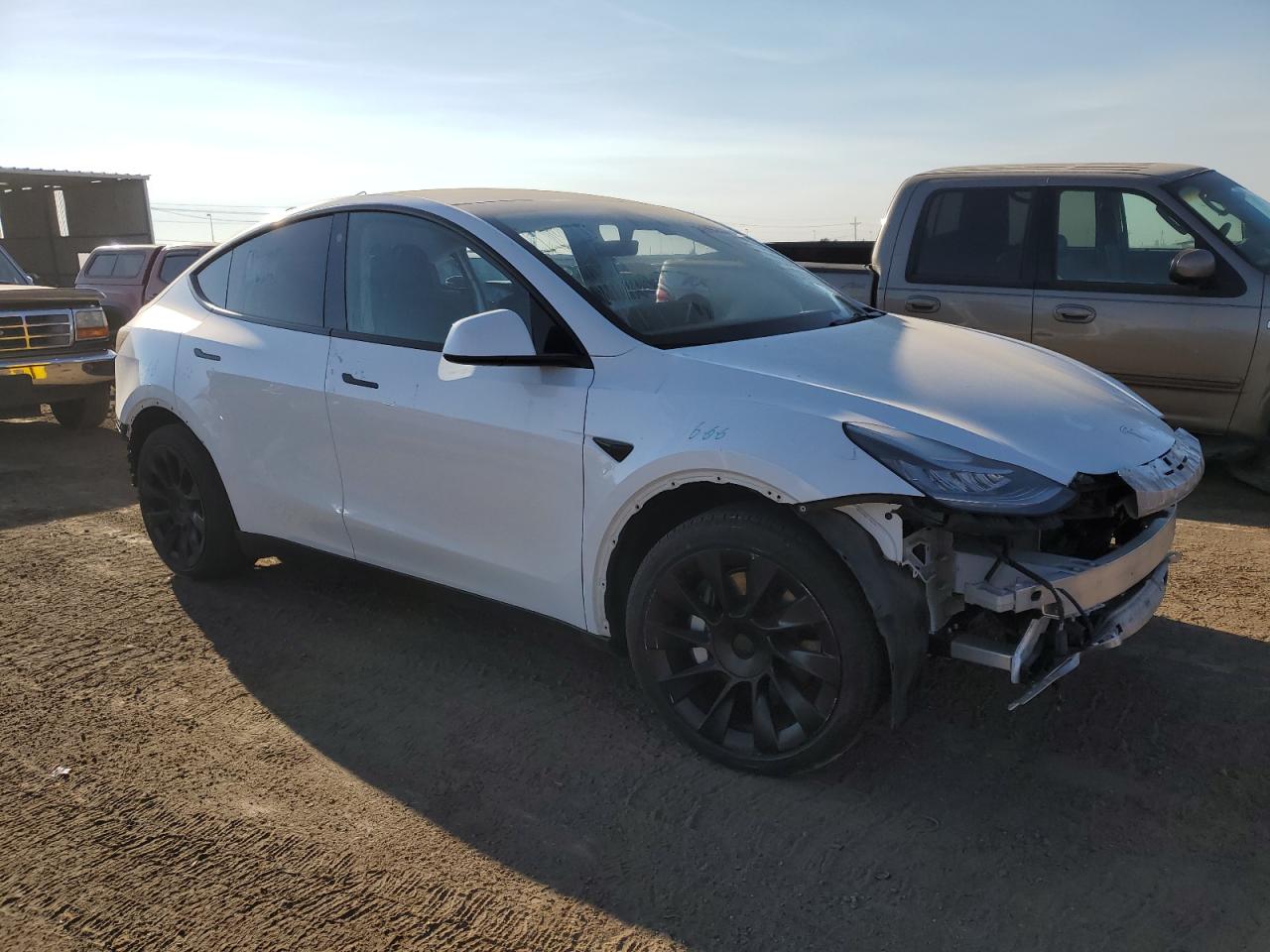 Lot #2921729568 2021 TESLA MODEL Y