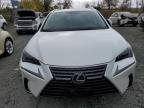 Lot #3024155833 2020 LEXUS NX 300