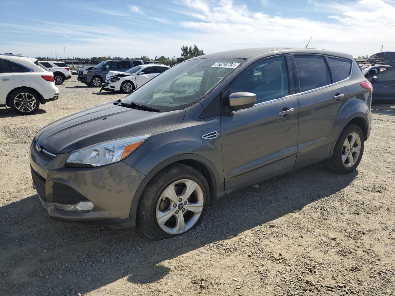 Lot #3026055962 2014 FORD ESCAPE SE