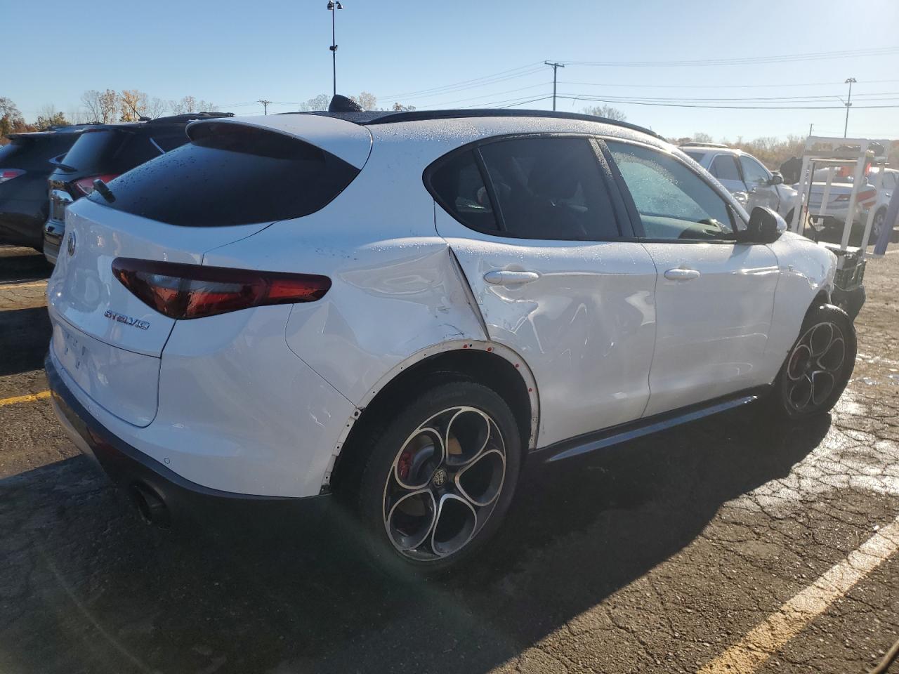 Lot #3020854731 2022 ALFA ROMEO STELVIO TI