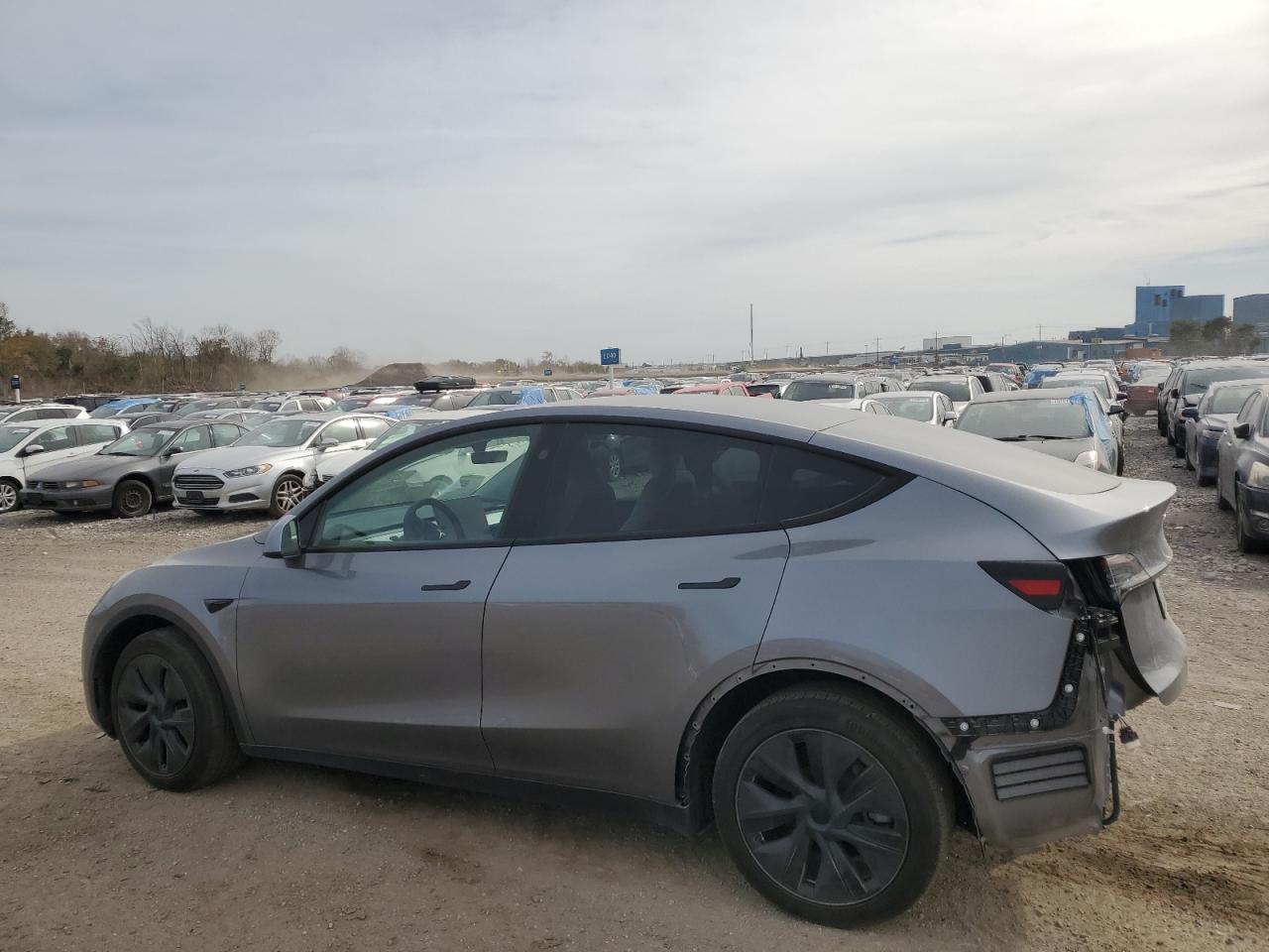 Lot #3004355775 2024 TESLA MODEL Y